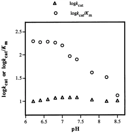 Figure  6.  pH-Ddependent  steady-state  kinetics.  Assays were  performed  in MDH  buffer  (12.5  mM  Mes,  12.5  mM Hepes,  25  mM diethanolamine)  for the  entire pH range.
