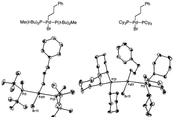 Figure 2.2.  X-ray crystal structures  of oxidative addition  adducts  of palladium bisphosphine  complexes.