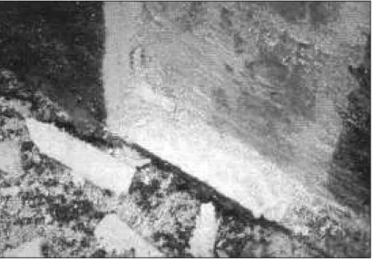 Figure 8. Mousse de polyuréthane pulvérisée sur le mur de béton et de la semelle. On peut apercevoir des restes de mousse adhérant sur le béton.