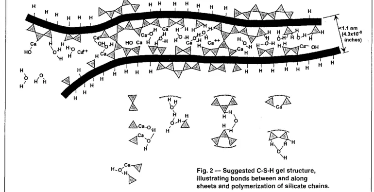 Fig. 2 - Suggested C-S-H gel structure, illustrating bonds between and along sheets and polymerization of silicate chains.