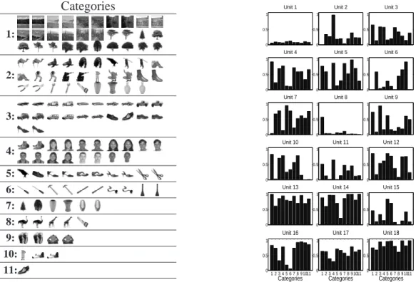 Figure 4: Categories (left) and activation probabilities of functional units (E[φ k,l ]) (right) estimated by the algorithm from all 8 subjects in the study.