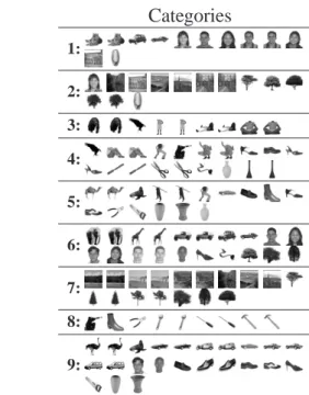 Figure 6: Categories found by our algorithm in group 1 (left) and by BAC in all subjects for (l, k) = (14, 14) (right).