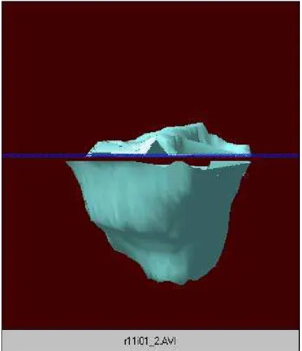 Figure 2-2 The first frame of an iceberg animation 2.3.2  Final Data Images