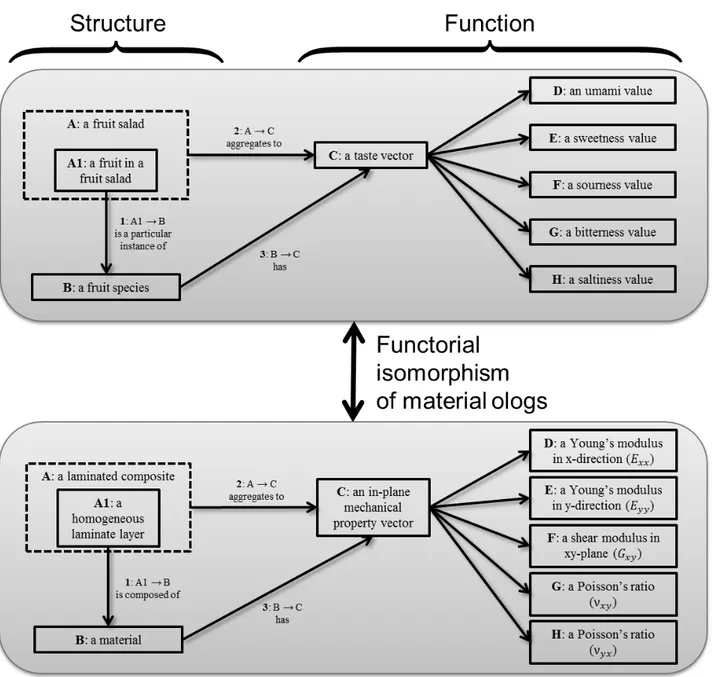 Figure 1 | Material ologs used to describe the structure and function relationship for two  functorially isomorphic materials, fruit salads and laminated composites