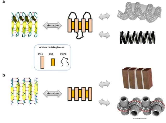 Figure 3 | The building replacement problem as an abstraction process. (a) A  -helix is  abstracted to a brick-glue-lifeline system as in  [9] 