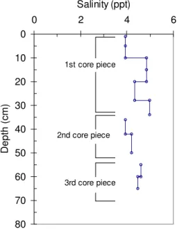 Figure 4  Ice salinity at Site 1