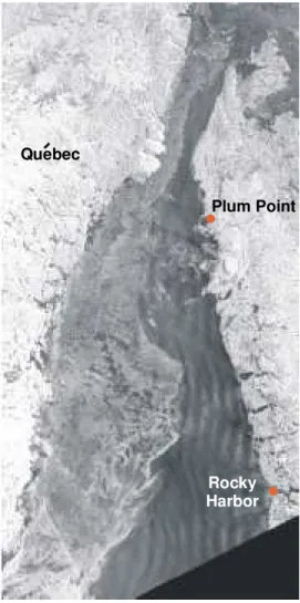 Figure 1  09 March RADARSAT ScanSAR image of the ice conditions between the Northern Peninsula of Newfoundland and Québec (courtesy of