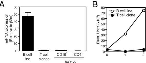 Figure 3. CD4 +  T cells do not express AEP