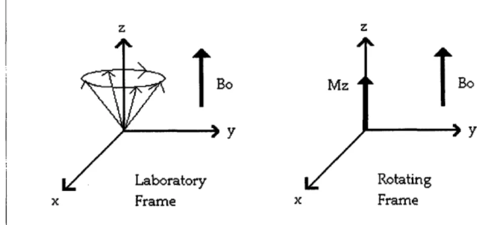 Fig. 3.1:  Diagram  of the Laboratory  and Rotating  Frame  of reference.