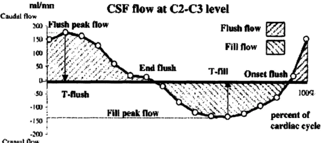 Fig 4.8: CSF  flow in a caudal  and cranial motion as a percent  of the cardiac  cycle.