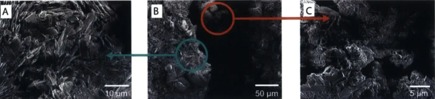 Figure 4.8.  Scanning electron micrographs of afilm produced by  sequential growth at -1.10  V and -1.50  V, displaying the characteristic  feather-like morphology of (Et 3 NH)2Zn 3 (BDC) 4  in  the top layer (A,  turquoise arrow), and the small crystallit