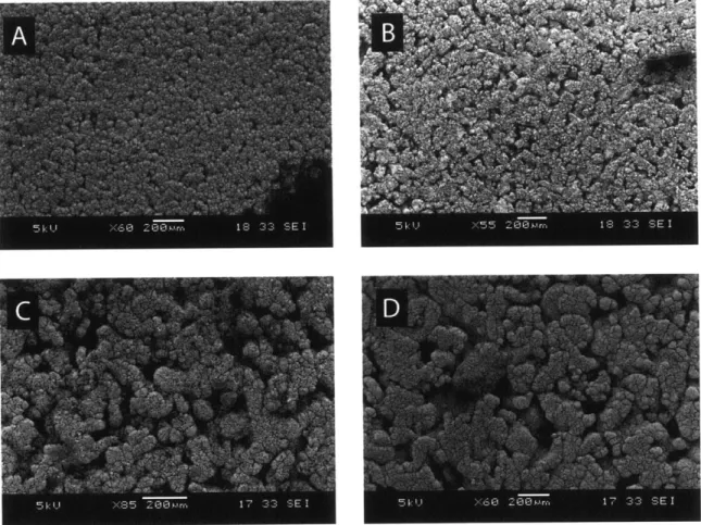 Figure Sl.11.  Surface scanning electron micrographs of substrates after deposition (A,  2  um:  B,  5  pm;  C,  10 pm:  D,  20 pm).