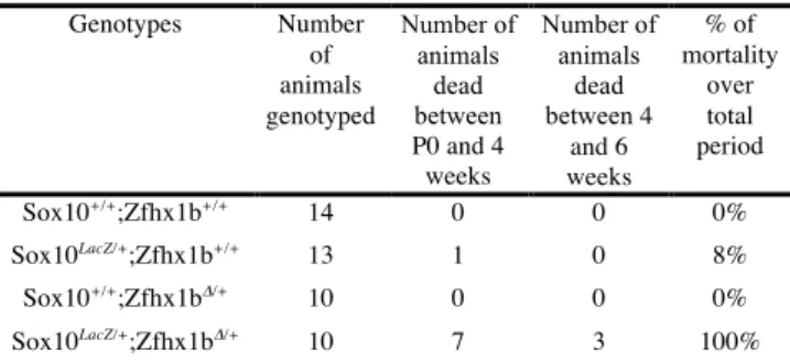 Table 1: Genotypes distribution and viability analysis of  animals resulting from Sox10 LacZ/+  and Zfhx1b !/+  crosses