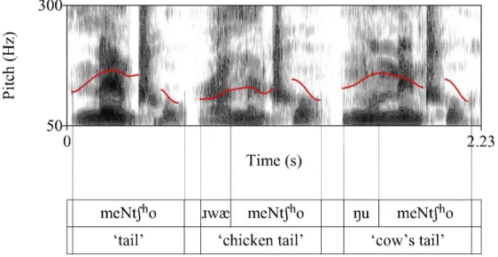 Figure 4. Illustration of tone sandhi changes over compounds. Here, ‘tail’ with a left- left-prominence pattern surfaces with different pitch contours when preceded by words with  different tonal patterns (‘chicken’ with a rising tone and ‘cow’ with a fall