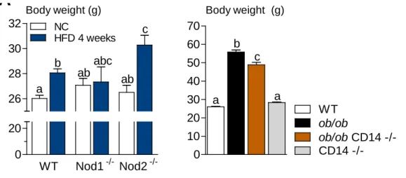 Figure S3. The pathogen recognition receptors Nod1 and CD14, but not Nod2, control  body weight gain