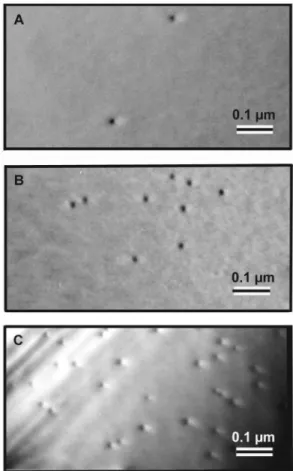 FIG. 2. Evolution of the QD’s with the amount of InAs depos- depos-ited for T growth ;480 °C, with coverage between 1.81 and 1.97 ML in ~a!, and with coverage between 1.90 and 2.28 ML in ~b!
