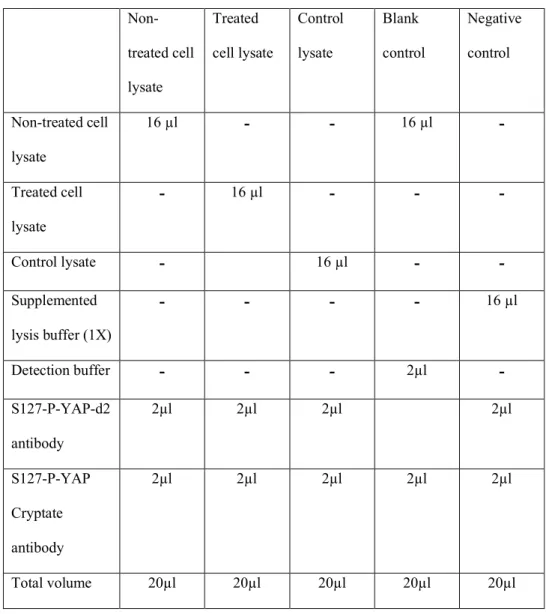 Table 1   Non-treated cell  lysate  Treated  cell lysate  Control lysate  Blank  control  Negative control  Non-treated cell  lysate  16 µl  -  -  16 µl -  Treated cell  lysate  -  16 µl -  -  -  Control lysate  -  16 µl -  -  Supplemented  lysis buffer (1