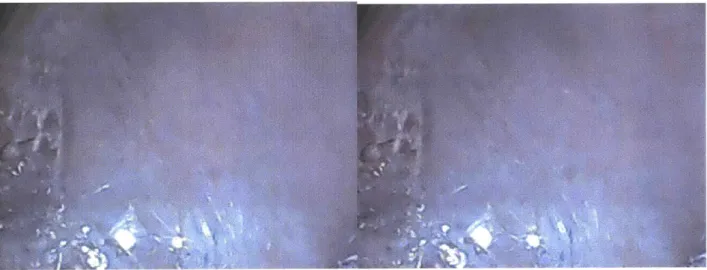 Figure  7. Before  (left)  and after (right)  of the MD  membrane  did  not reveal  any fouling.