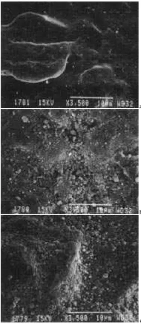 Figure 1 shows the surface of as received, H 2 SO