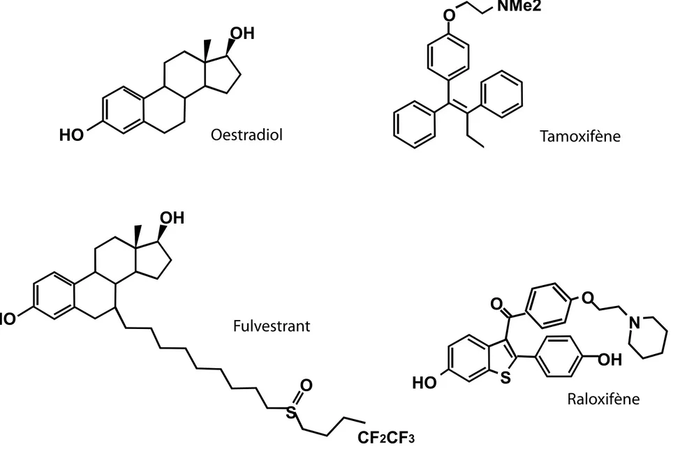 Figure 5 : Structure de l’oestradiol et de trois anti-oestrogènes