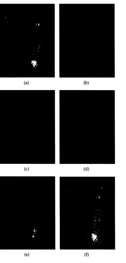 Figure  7.  Image  tracking  algorithm.  (a)  Original  image;  (b) Im- Im-age  after  subtraction  of  the  previous  frame;  (c)  Sobel gradient  detection;  (d) Sphere  of  interest  isolated  on an image;  (e) circular  Hough transform  applied to the 
