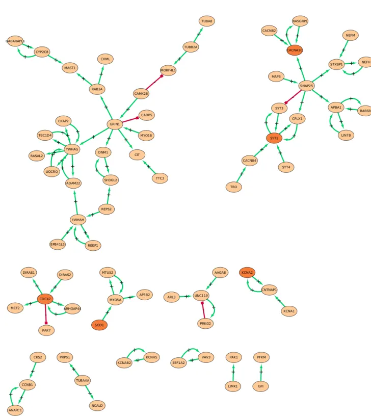 Figure 4: Inferred GRN for the drug repurposing instance on epilepsy. Genes present in this network belong to the M30 set