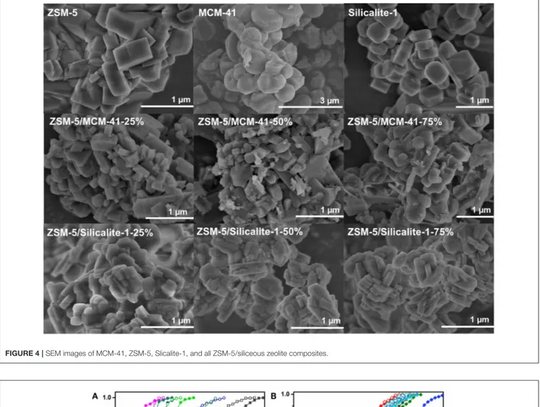 FIGURE 4 | SEM images of MCM-41, ZSM-5, Slicalite-1, and all ZSM-5/siliceous zeolite composites.
