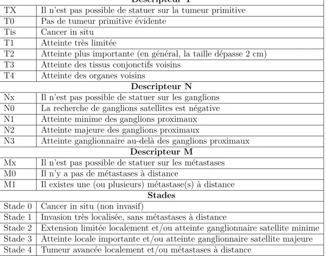 Table 1.1 – Principaux descripteurs de la classification TNM et stades du cancer Descripteur T