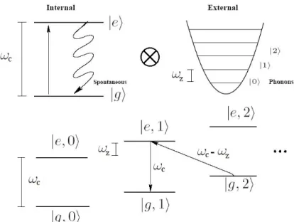 Figure 2-5: By red detuning our cooling laser by the trap frequency 