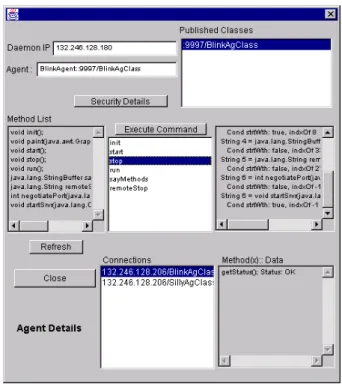 Figure 8. A screen shot of the detail screen for an agent.