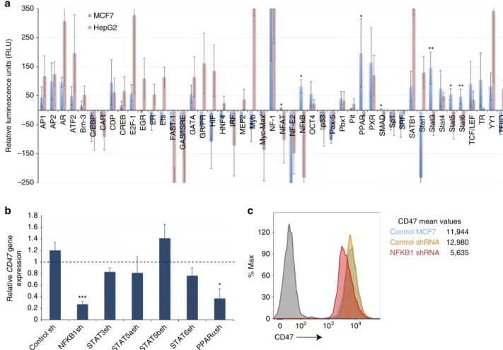 Figure 3 | NFKB1 candidate transcription factor regulates CD47 expression in breast cancer cells