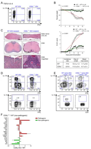 Figure 3. CD5L is a switch that regulates Th17 cell pathogenicity