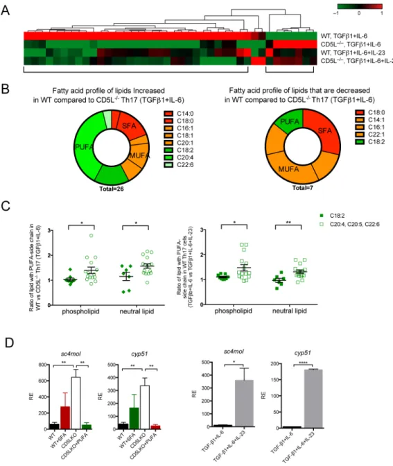 Figure 4. CD5L shifts the fatty acid composition of Th17 cell lipidome and modulates Rorγt  ligand availability