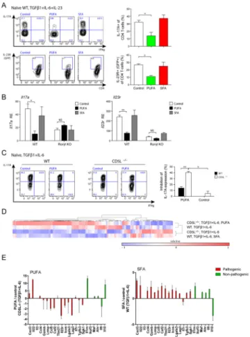 Figure 6. PUFA/SFA regulate Th17 cell function and contribute to CD5L-dependent regulation  of Th17 cells