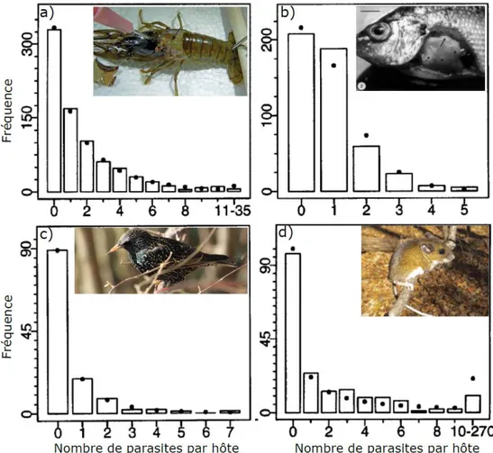 Figure  2  :  Figure  illustrant  l’agrégation  parasitaire  pour  quatre  interactions  hôtes- hôtes-parasites  (d’après  Shaw  et  al