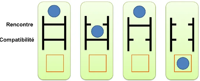 Figure 4 : Représentation schématique des notions de filtres de rencontre et de compatibilité