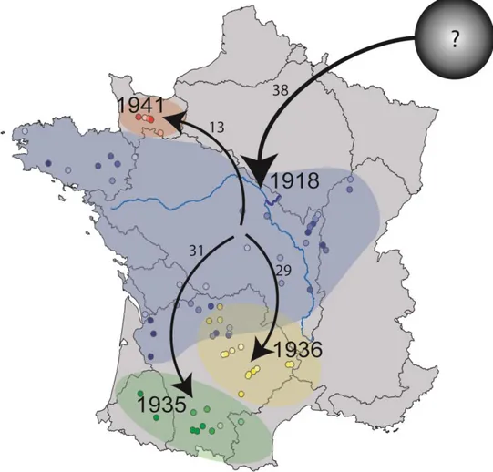 Figure  7  :  Carte  représentant  le  scénario  d’introduction  et  de  colonisation  de  T