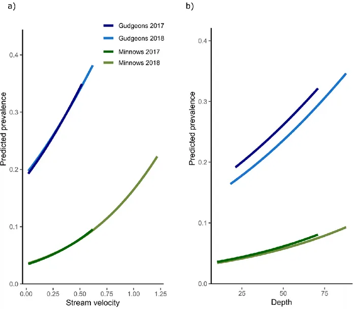 Figure 4: Predicted prevalence from the average model (based on models having the lowest AIC  at  a  delta  AIC  of  four)  for  the  effect  of  stream  velocity  a)  and  depth  b)  respectively  in  the  descriptive approach realized in natura