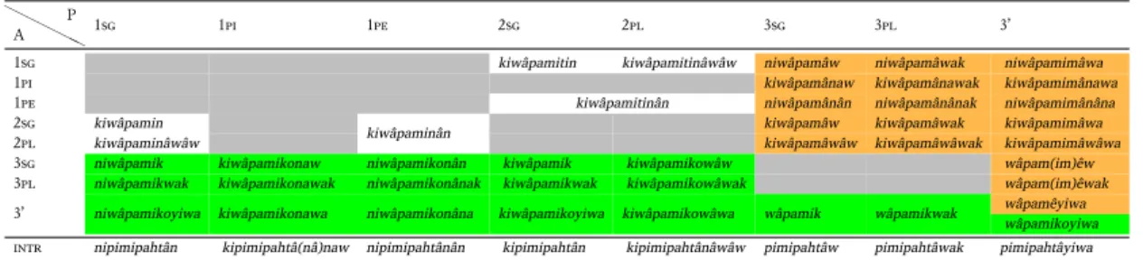 Table 4 (adapted om Wolfart, 1973) illustrates an example of a transitive animate paradigm