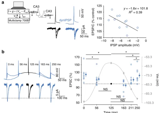 Fig. 5b). We conclude that, during h-ADF, presynaptic hyperpolarization enhances both presynaptic spike amplitude and spike-induced Ca 2 þ inﬂux, which subsequently enhances glutamate release.