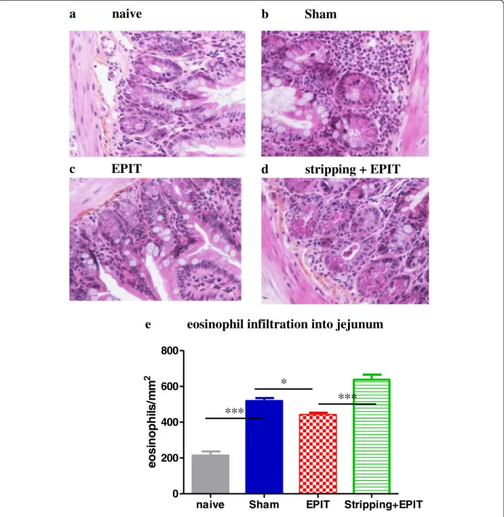 Figure 7 Effect of EPIT on intact or stripped skin on the induction of jejunal lesions jejunum segments collected and analyzed by microscopy after HES coloration (x40)