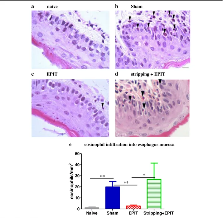 Figure 5 Effect of EPIT on intact or stripped skin on the induction of injuries in esophagus