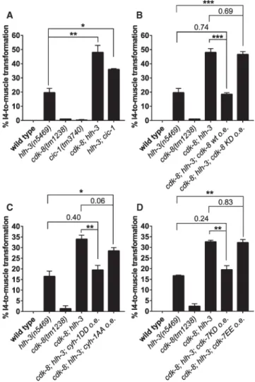 Figure 5. CDK-8 Functions Together with Mediator Complex Proteins and in Parallel to HLH-3  to Promote I4 Neurogenesis, Most Likely by Inhibiting CYH-1 and CDK-7
