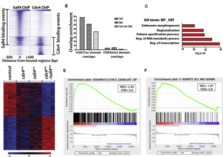 Figure 2. Cdx4 and Sall4 Coregulate Downstream Target Genes