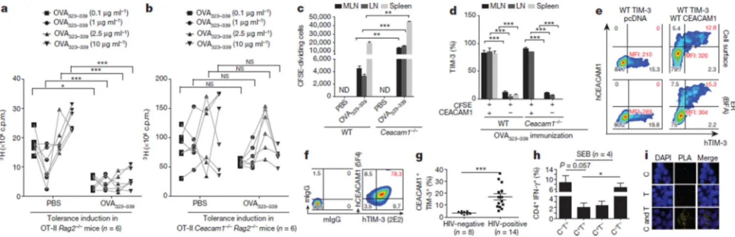 Figure 1. TIM-3 and CEACAM1 are co-expressed on T cells during induction of tolerance a, b, Tolerance induction in indicated mice