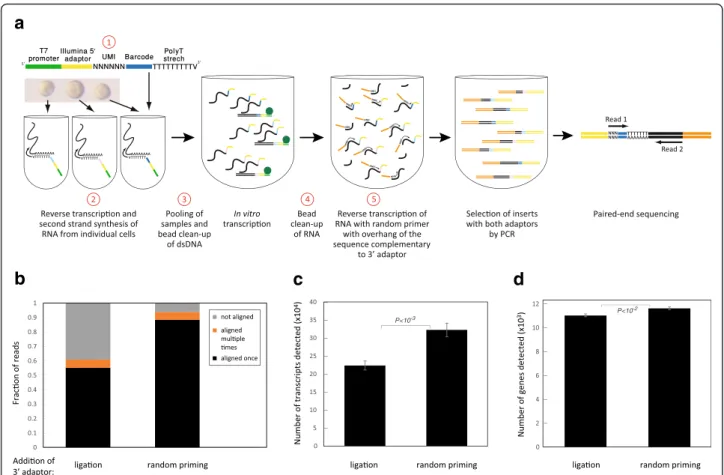 Fig. 1 Changes introduced to the protocol. a An outline of the CEL-Seq2 method is shown with the steps modified from the original CEL-Seq indicated in red 