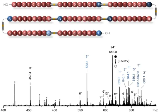 Fig. 3 MS 2 spectrum of an 8-byte digital polymer containing the ASCII-encoded word Sequence