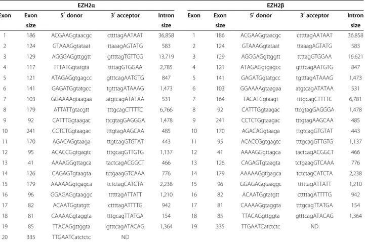 Figure 1 The EZH2 locus yields two major transcriptional variants: EZH2α and EZH2β. (A) Comparative analysis of the structure of EZH2α and EZH2β transcript variants where sites of alternative splicing events are highlighted in red on the reference isoform