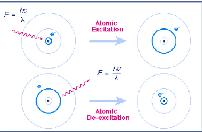 Figure 1: Principe de la fluorescence à l'échelle  atomique. Représentation du déplacement des  électrons dans leurs orbitales après absorption  d'énergie et après libération de cette énergie