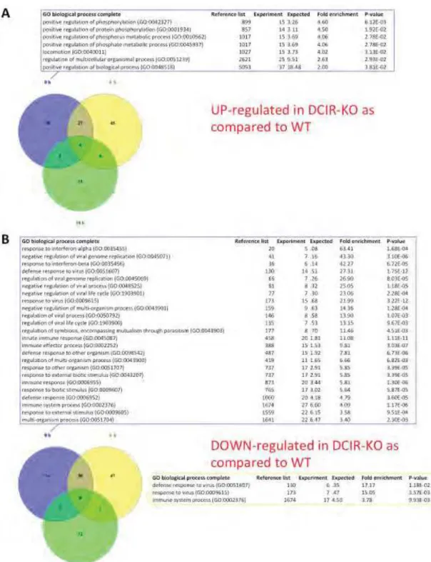 Fig. S3 Venn diagram of genes up (A)- or down (B)-modulated in DCIR-deficient DCs,  compared to in WT cells, at 0, 4 or 18 h after M